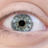 Los animales pequeños ven el mundo en 'cámara lenta' (ING)