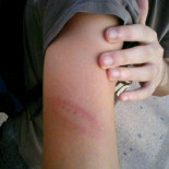 La Policía Nacional, a la caza de menores en Palma