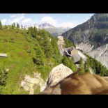 El vuelo de un águila grabado con una cámara GoPro atada al animal