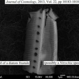 Otra vez el Dr. Wickramasinghe encuentra vida extraterrestre en la Tierra