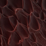 Fotos de Marte realizadas por el telescopio de alta resolución montado sobre la nave Mars Reconnaissance Orbiter