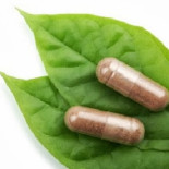 Plantas transgénicas contra el veneno de serpiente