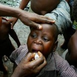 Una científica pamplonesa halla una vacuna contra el cólera más barata