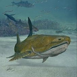 La primera criatura con una cara moderna