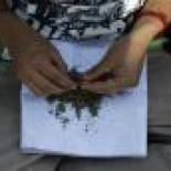 Legalizar la marihuana. El mayor golpe económico contra los cárteles de la droga