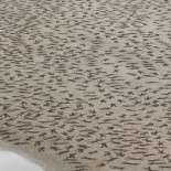 9000 soldados caídos grabados en las playas de Normandía para conmemorar el Día de la Paz