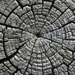 Decálogo Robin Hood: Diez cosas que puedes hacer hoy mismo para reducir el abismo entre ricos y pobres (II)