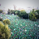 Palma se llena de camisetas verdes