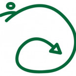 El dragón diferencial