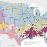 ¿Cuál es la ascendencia de los habitantes de EEUU? [ENG]