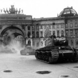 “El gato dio para comer diez días”