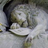 El CSIC, una muerte sin dignidad