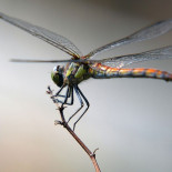 Solo es cuestión de ciencia