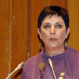 «En España, frente a cualquier problema la respuesta es endurecer el Código Penal»