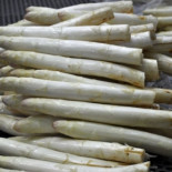 La 'desaparición' del espárrago blanco español