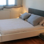 Las causas encubiertas de la fibrosis pulmonar idiopática