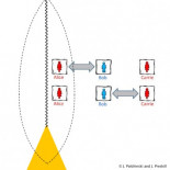 Qué pasa con el experimento del gato de Schrödinger dentro de un agujero negro