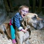 Un gran danés detecta los ataques epilépticos de una niña de tres años