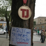 Condecoran al árbol donde tropezó "la Cospe"