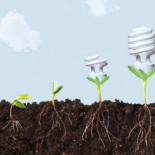 Cultiva tu propia Energía y pasa de ser consumidor a ser ciudadano