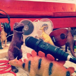 ¡Estamos en Dinoviembre! [ENG]