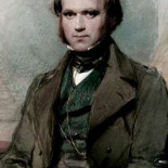 Darwin mete un gol en Texas