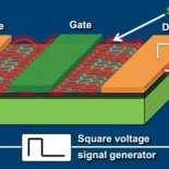 Nanoantenas de grafeno para una wifi de terabits por segundo