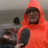 Cachalote muerto explota por causas naturales