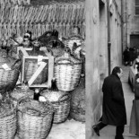 Una copa de licor café que costó la vida a cientos de personas