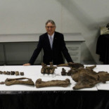 Descubierto en Teruel el dinosaurio acorazado más completo de Europa