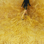 Ni una sola de estas fotos está retocada digitalmente