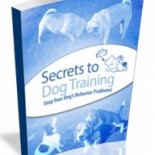 Fotografías de inmigrantes en la Isla de Ellis (1905-1909) (ENG)