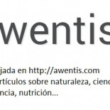 El drama del eucalipto