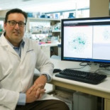 Descubierto un lenguaje oculto en el ADN humano