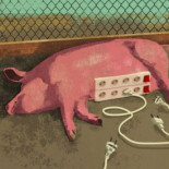 El Verdadero despilfarro con los funcionarios