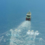 Cetáceos y tortugas oirán cada 10 segundos una "explosión nuclear"