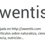 Cangrejo cocotero: el cangrejo gigante que come cocos y roba en las casas