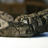 Los secretos que revelan los pergaminos de Herculano