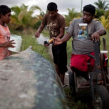 Los inválidos de la langosta