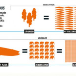 Los mayores organismos vivos de la Tierra [Gráfico]