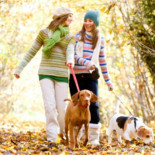 Vitoria obliga a pasear a los perros, al menos, media hora