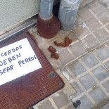 Los cerdos no deben pasear perros