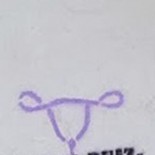 Aparecen pintadas contra la ley del aborto en la casa de Ruiz-Gallardón en Nerja