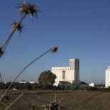 Catedrales del campo