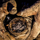 Un hombre iraní que no se ha bañado en 60 años