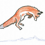 ¿Ven los zorros rojos a través de la nieve?