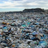 Alerta Magufo: Flaska, toma ecotimo en toda la boca