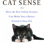 Tu gato cree que eres un gato gigante [En]