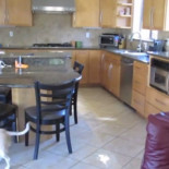 Lo que mi perro (raza beagle) hace cuando no estamos en casa. [EN]