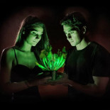 Starlight Avatar: La primera planta bioluminiscente del mundo